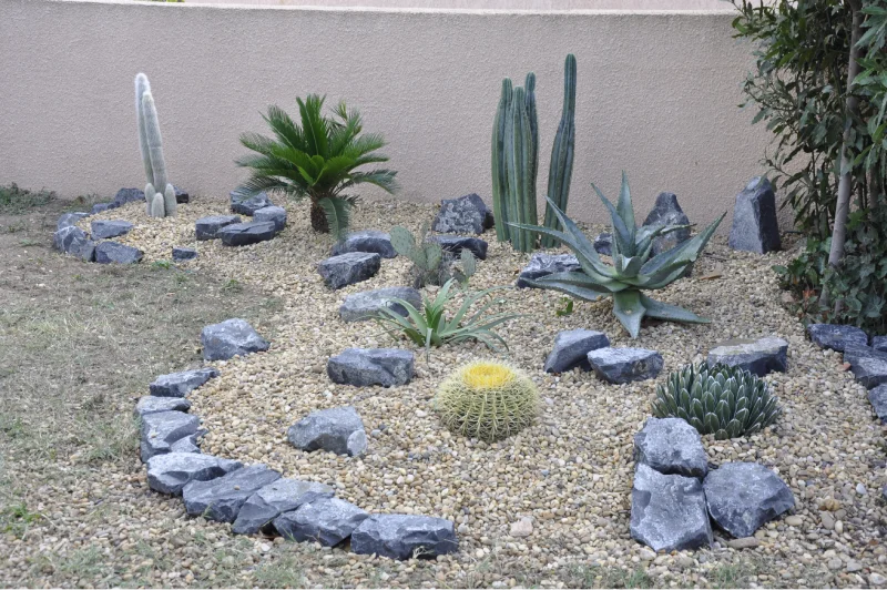 rocaille de cactus à Argeles sur mer
