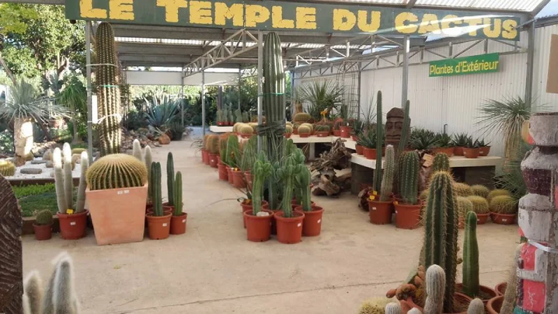 L'entrée de notre magasin