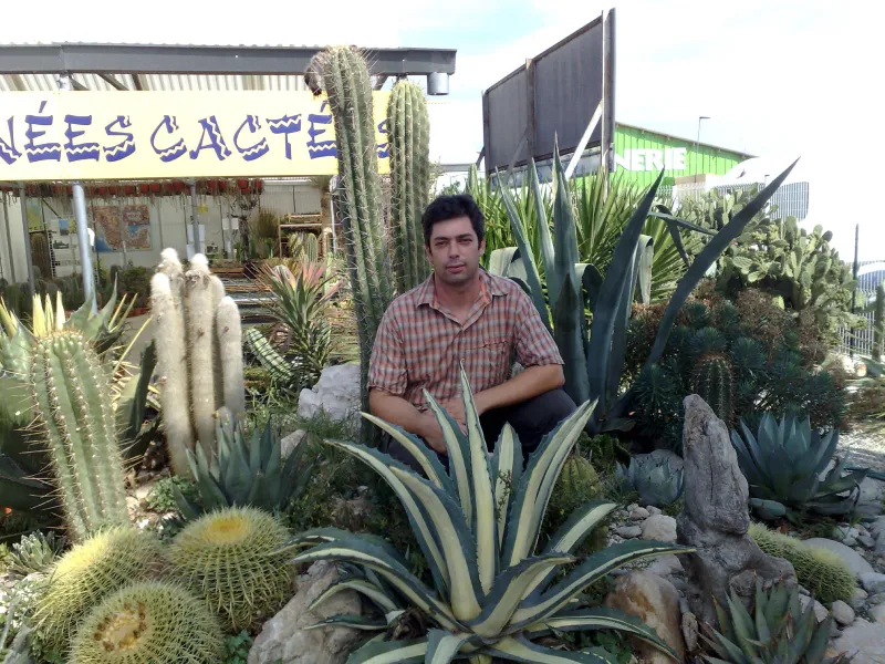 Rustica Cactus alt