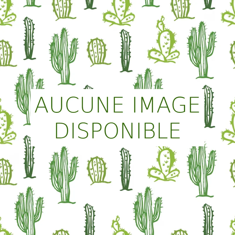 Aucune image disponible